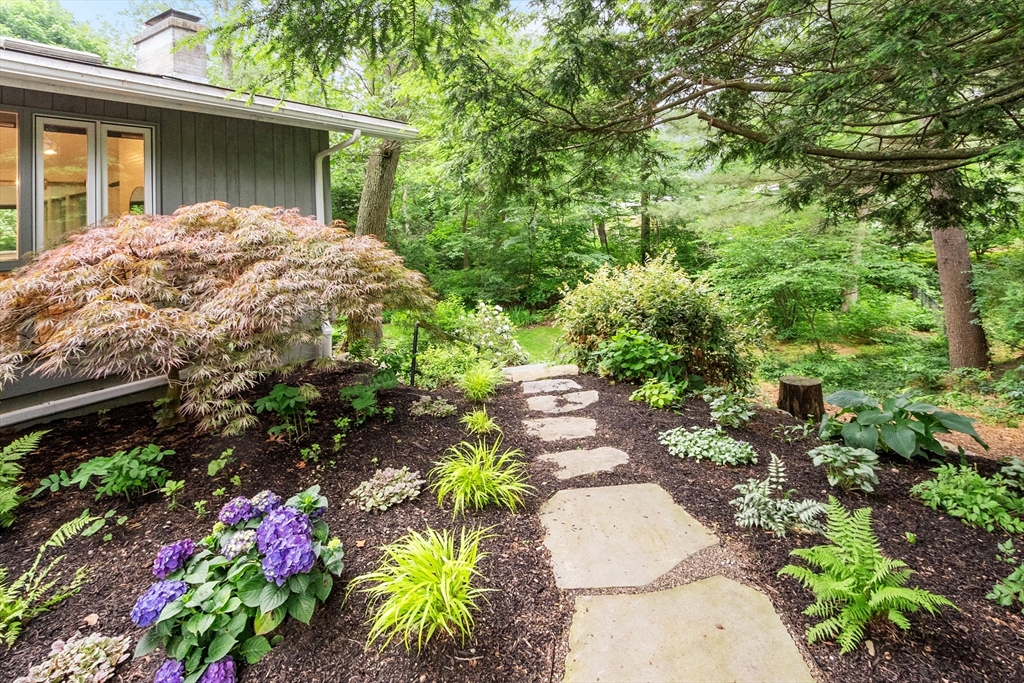 5 Mason Street Lexington, MA 02421 - Photo 5 of 35