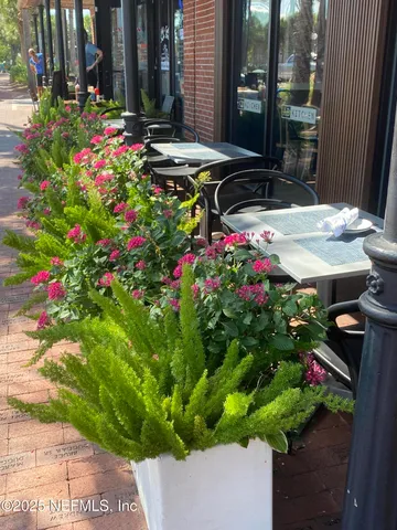 a picture of flowers