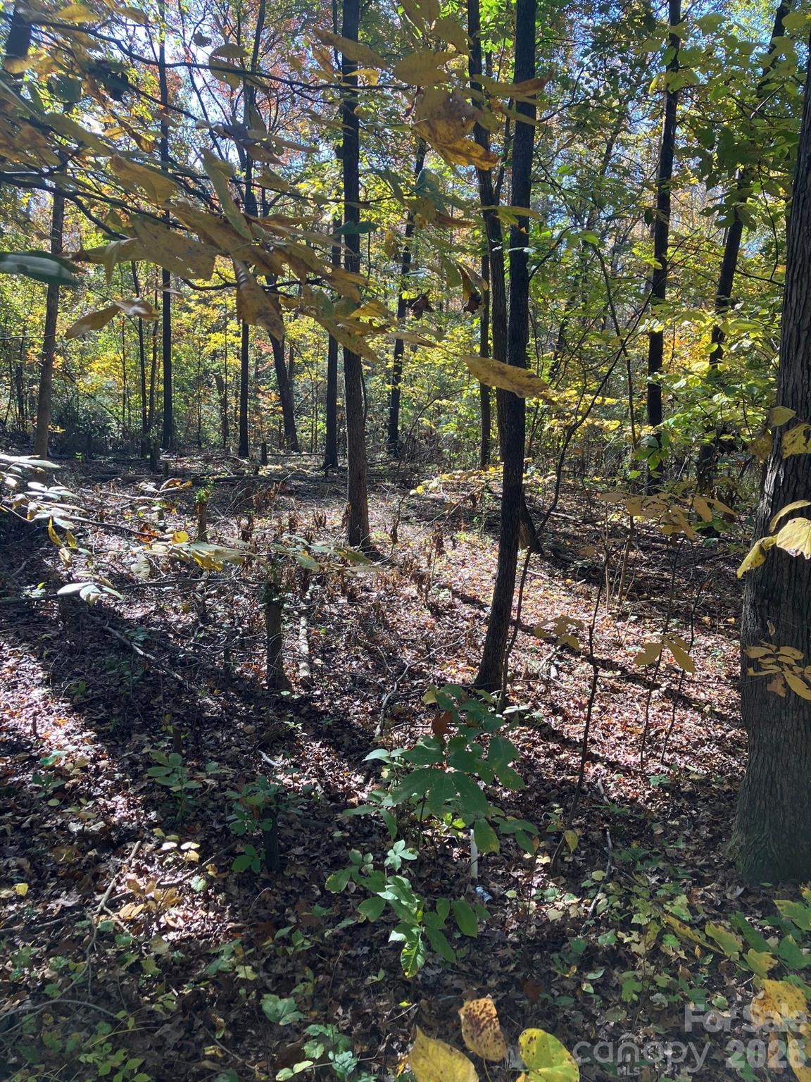 0 Poplar Lane Road Albemarle, NC 28001 - Photo 1 of 4 Gallery Image 1