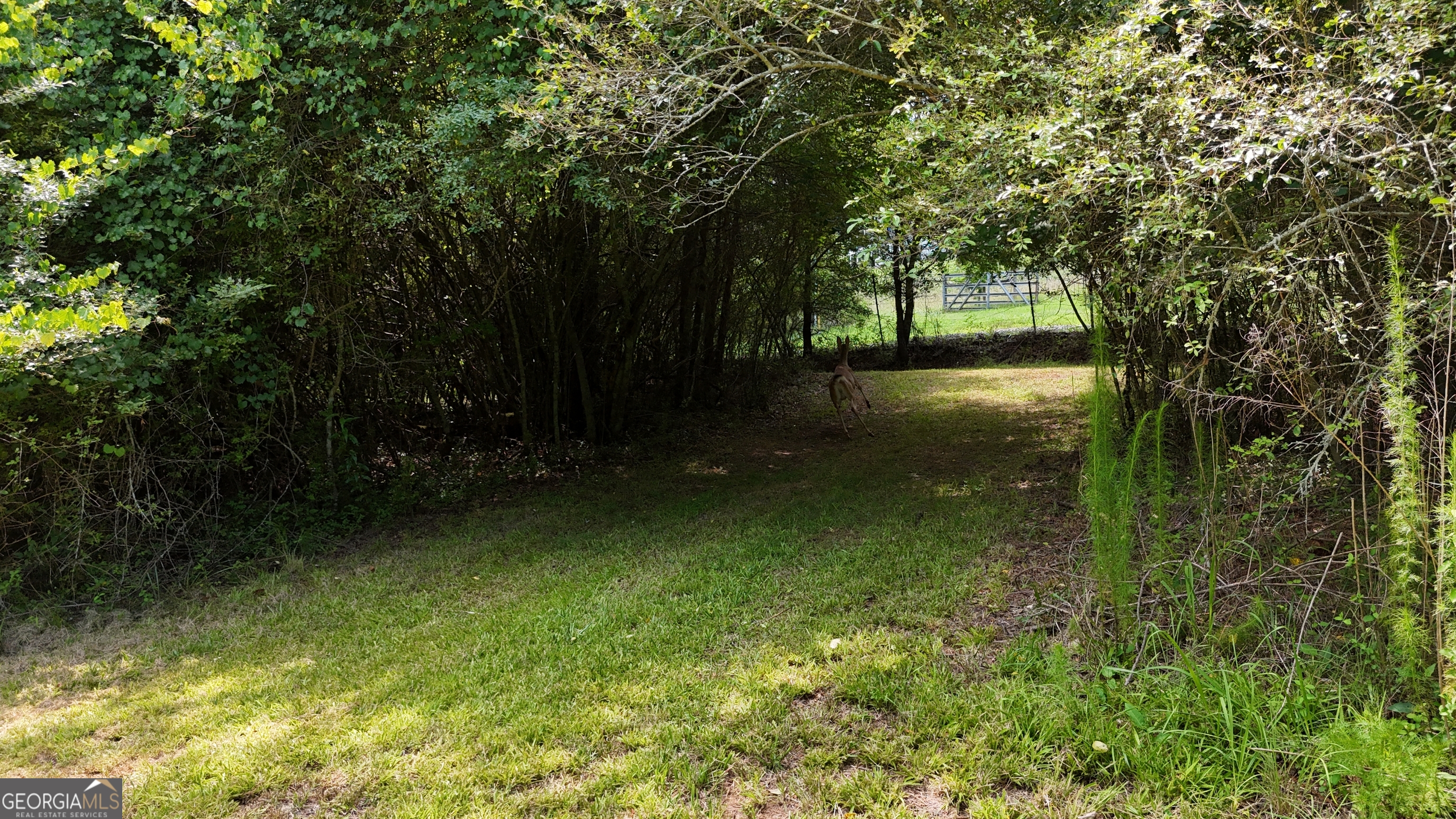 3729 Duncan Bridge Road Southwest Cornelia, GA 30531 - Photo 57 of 63