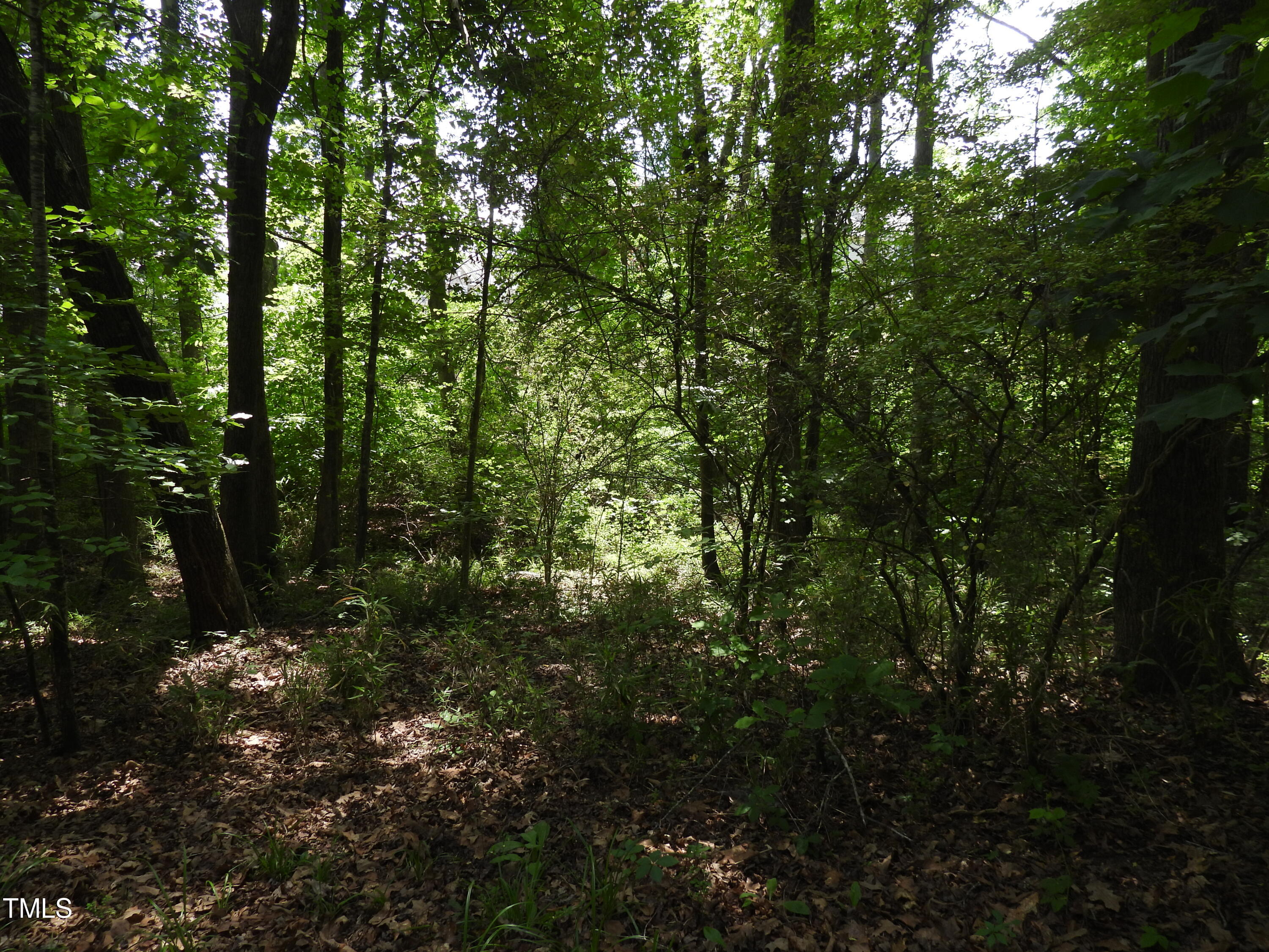 7940 Secluded Acres Road Apex, NC 27523 - Photo 16 of 40 DSCN2544