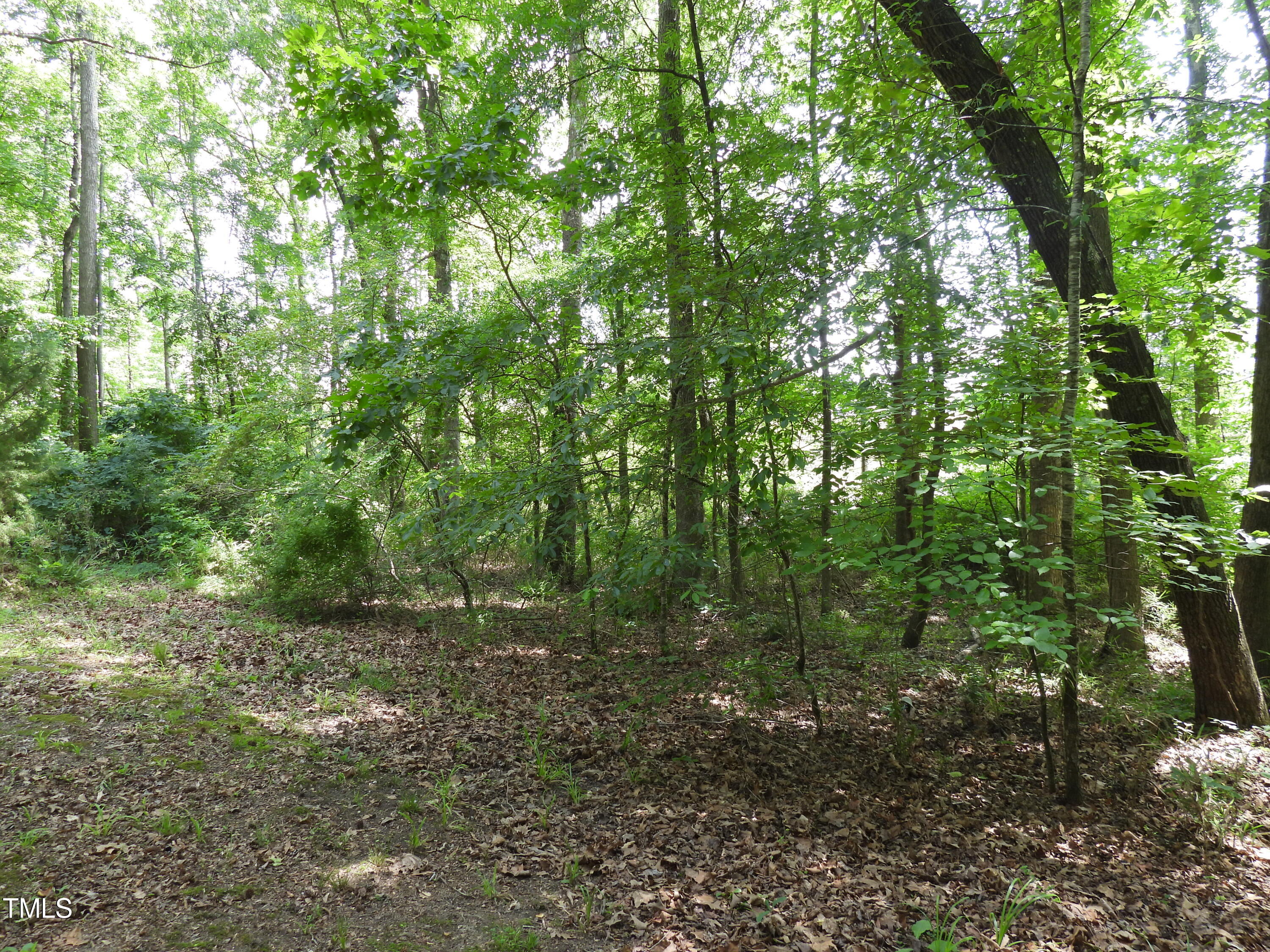 7940 Secluded Acres Road Apex, NC 27523 - Photo 27 of 40 DSCN2546