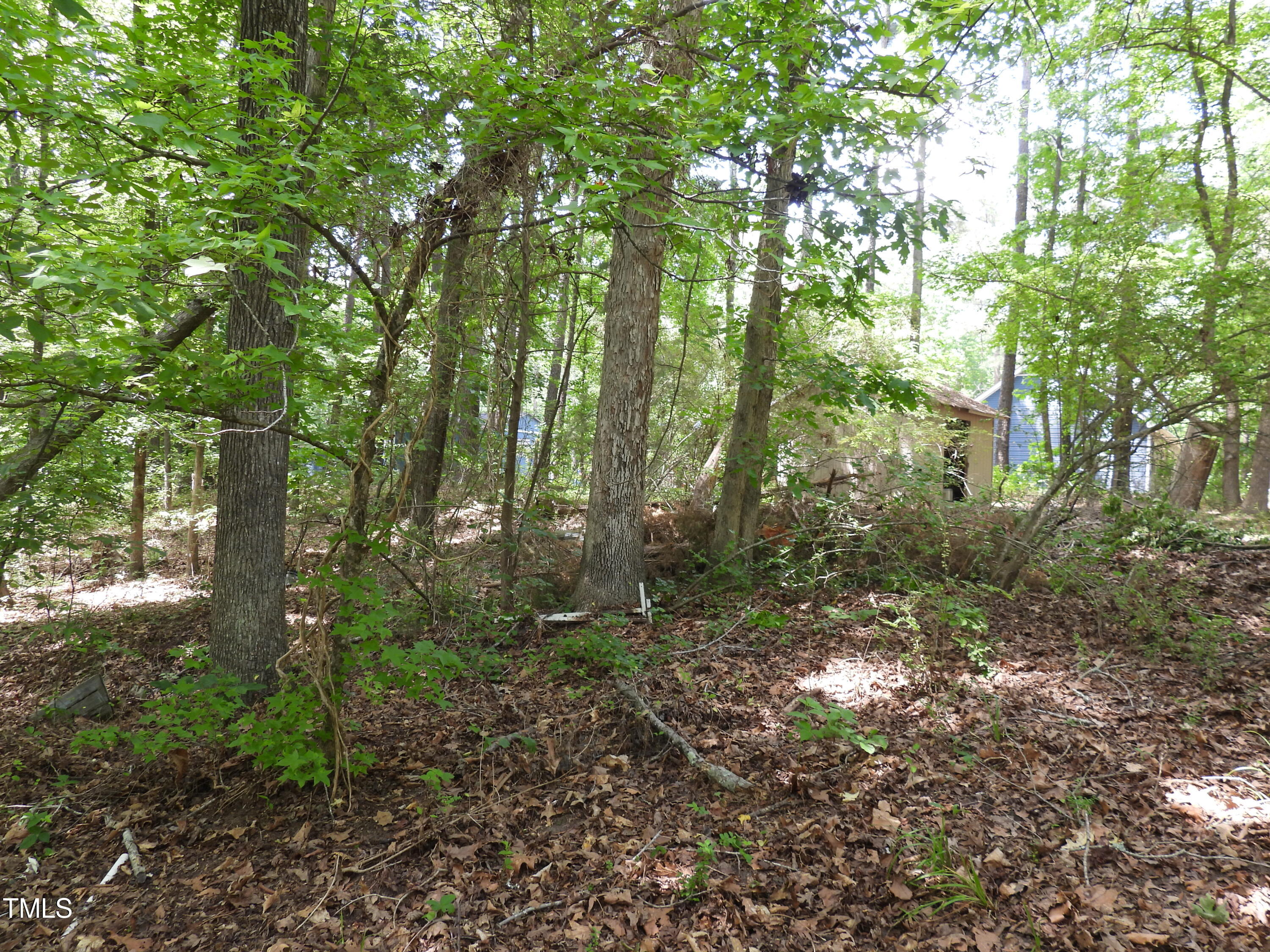 7940 Secluded Acres Road Apex, NC 27523 - Photo 28 of 40 DSCN2551