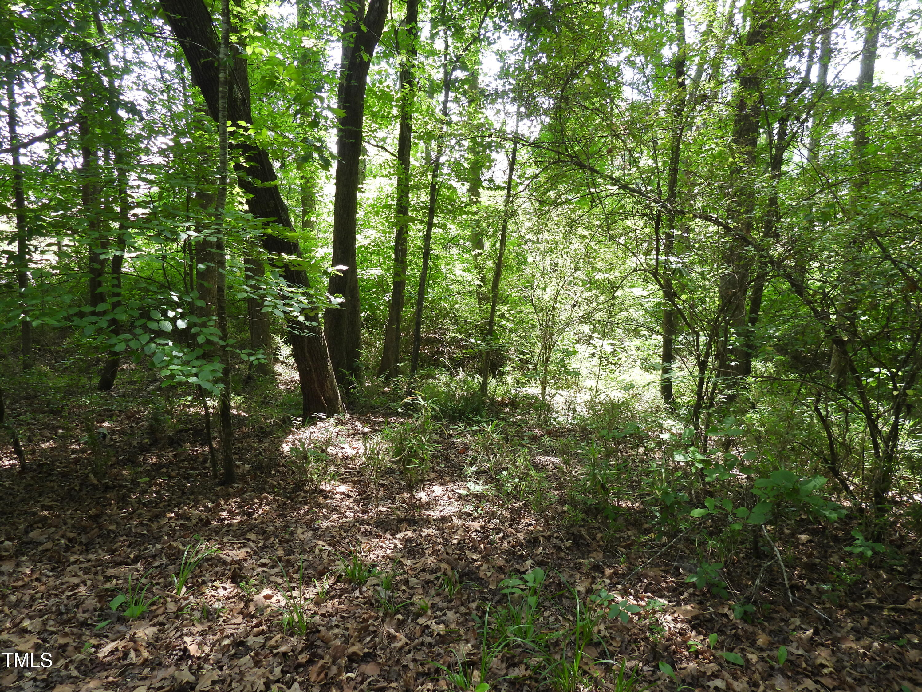 7940 Secluded Acres Road Apex, NC 27523 - Photo 29 of 40 DSCN2545
