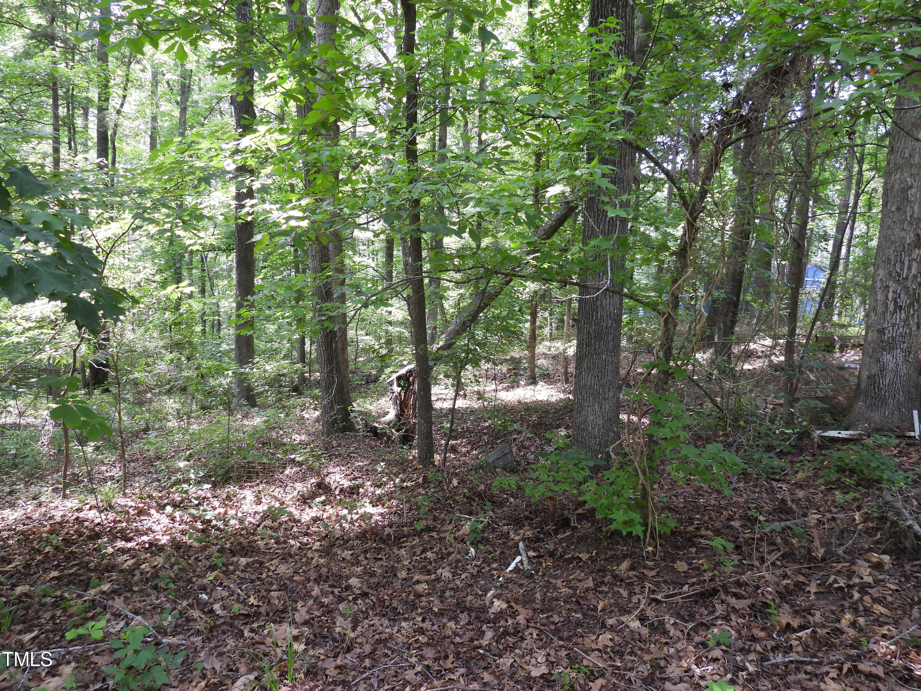 7940 Secluded Acres Road Apex, NC 27523 - Photo 30 of 40 DSCN2550