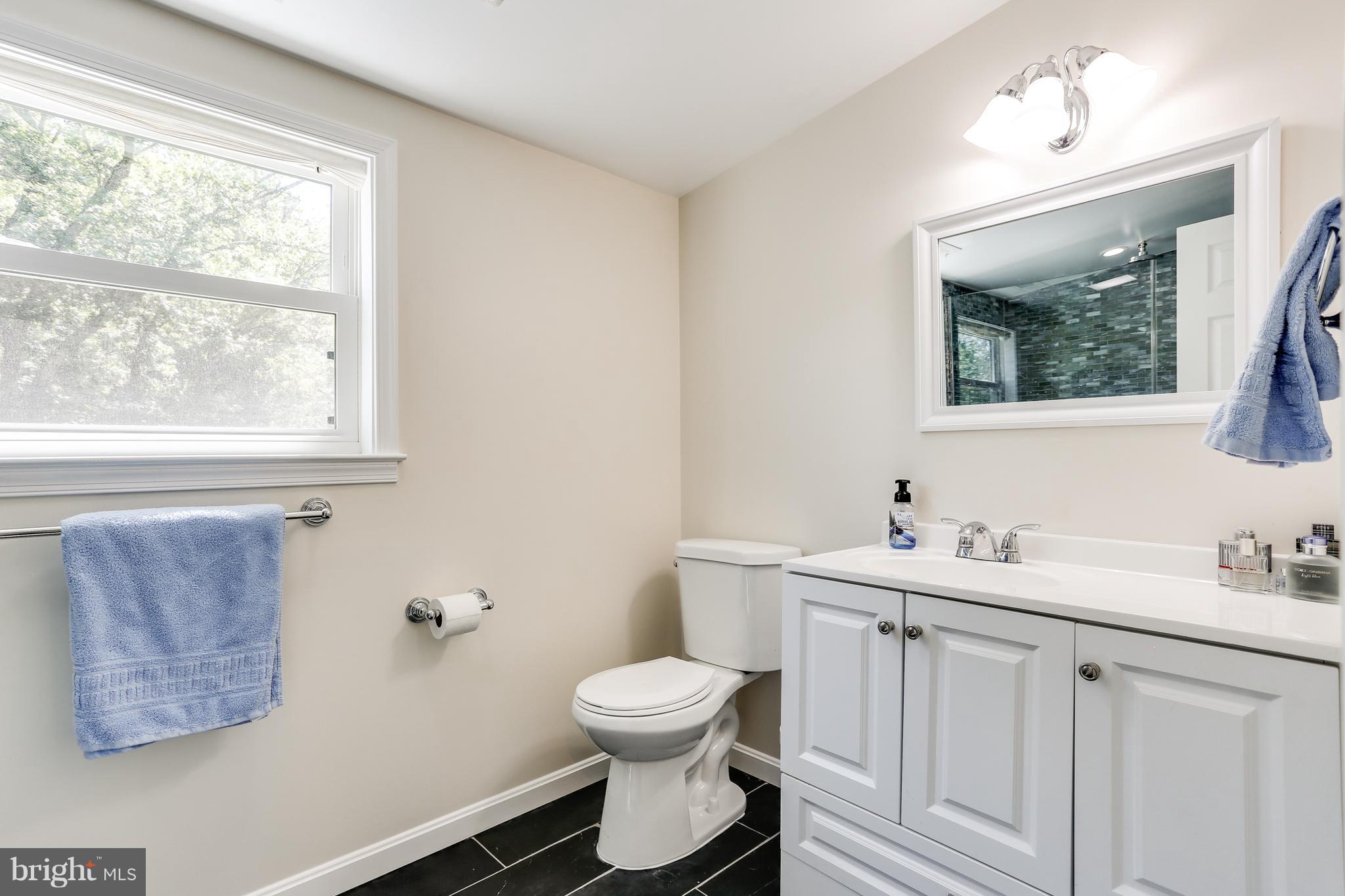 17709 Norwood Road Sandy Spring, MD 20860 - Photo 21 of 29 Bath (Master)