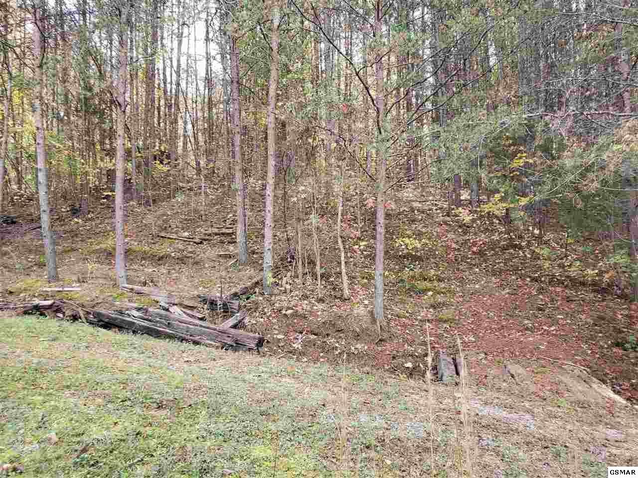 1033 Beard Valley Road Maynardville, TN 37807 - Photo 20 of 22 a view of a pathway with a yard