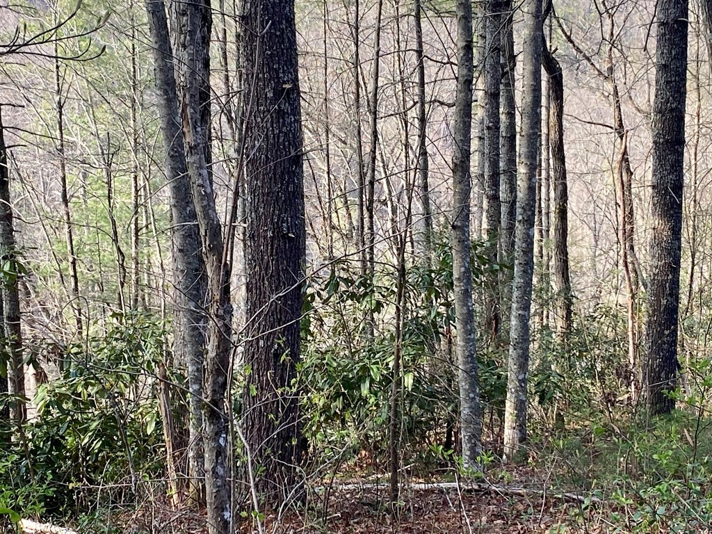 96 Whetstone Road Sevierville, TN 37862 - Photo 6 of 20