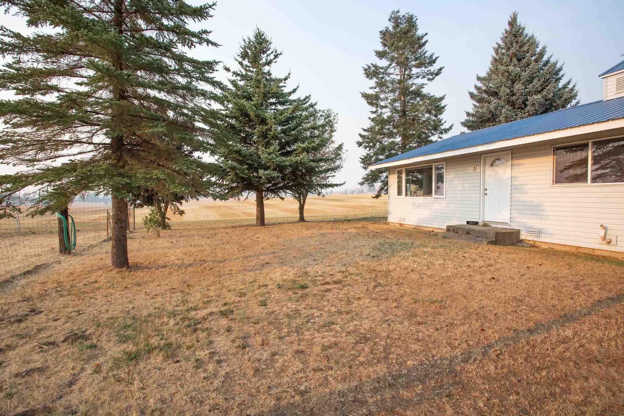 12612 South Jackson Road Mica, WA 99023 - Photo 23 of 38