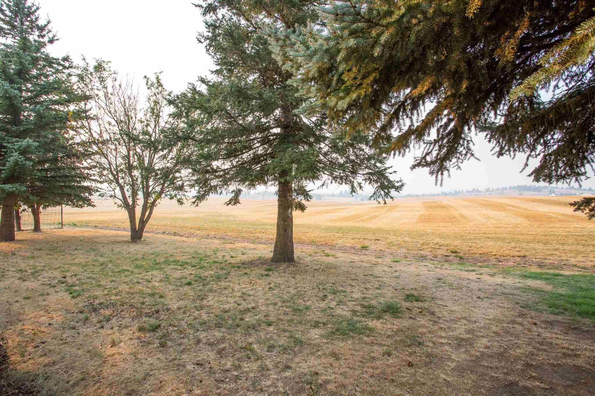 12612 South Jackson Road Mica, WA 99023 - Photo 27 of 38