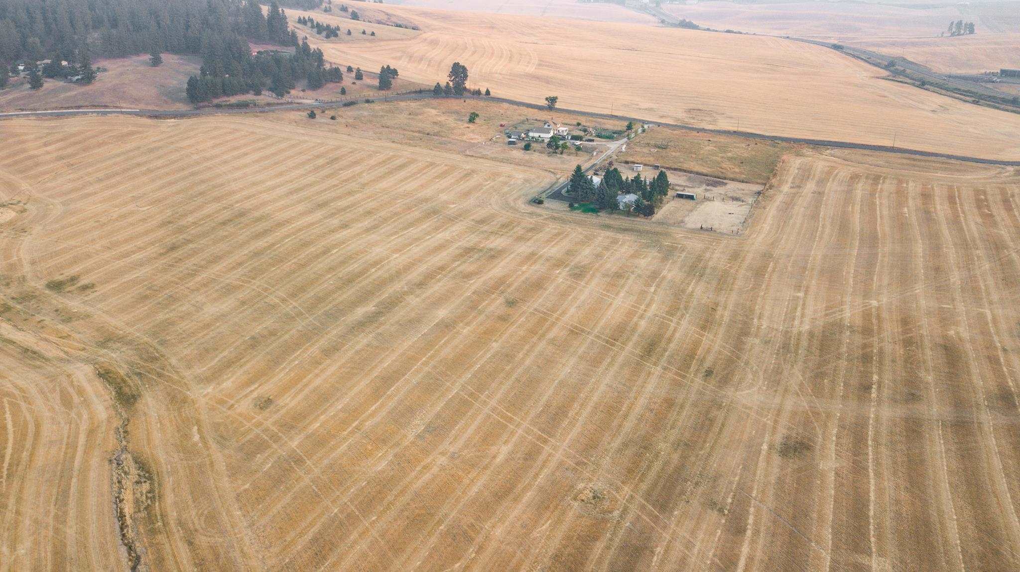 12612 South Jackson Road Mica, WA 99023 - Photo 30 of 38