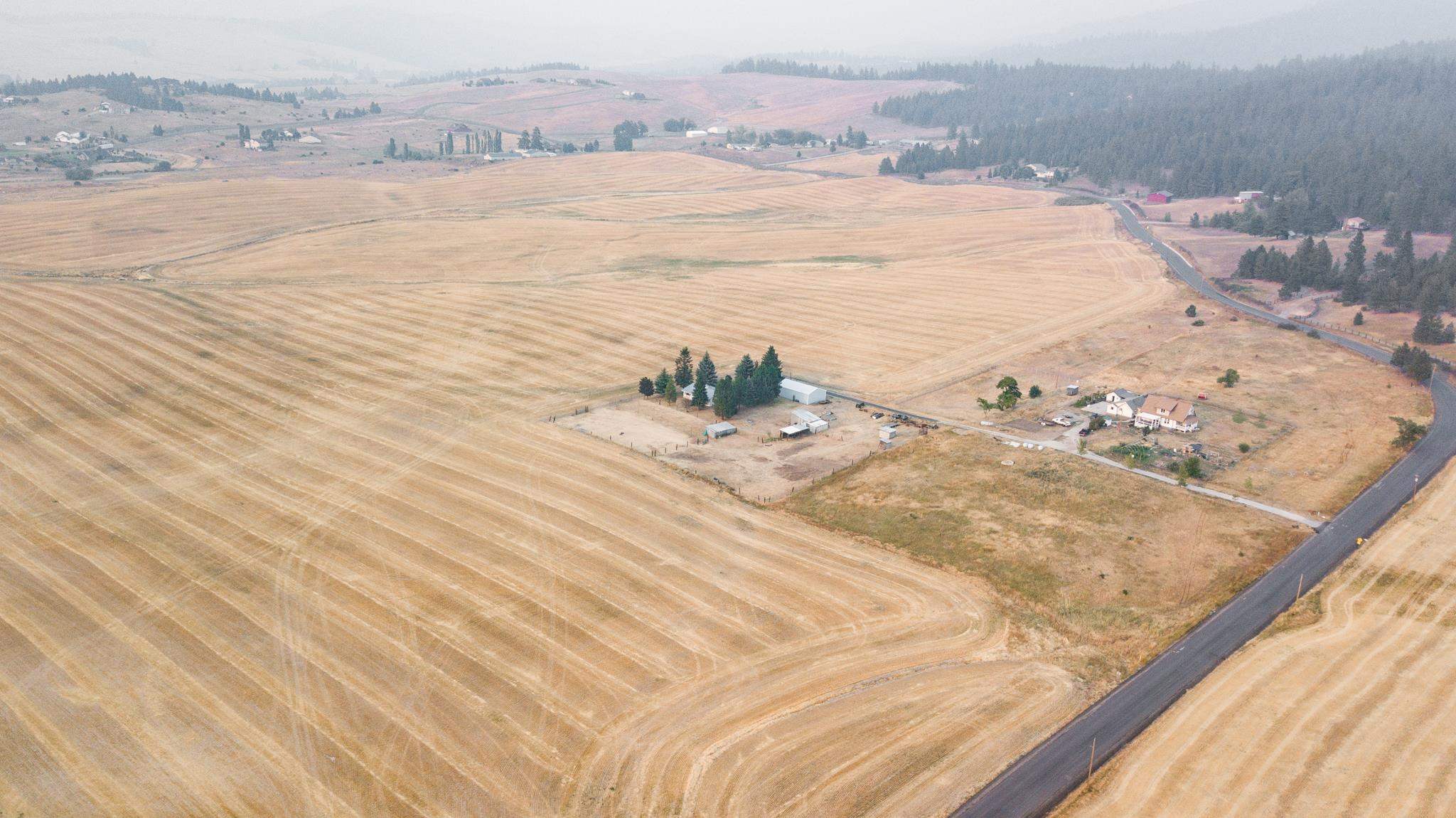 12612 South Jackson Road Mica, WA 99023 - Photo 34 of 38