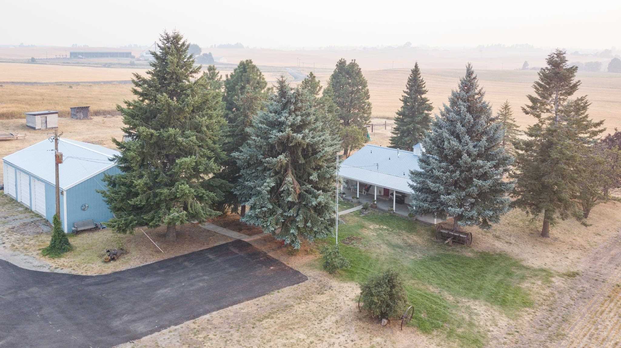 12612 South Jackson Road Mica, WA 99023 - Photo 38 of 38