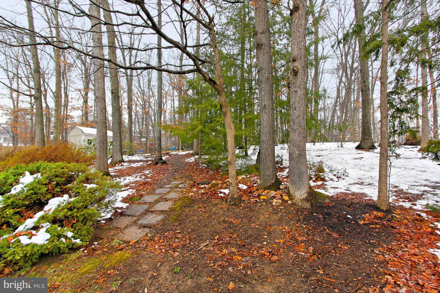8006 Springfield Village Drive Springfield, VA 22152 - Photo 28 of 30 View