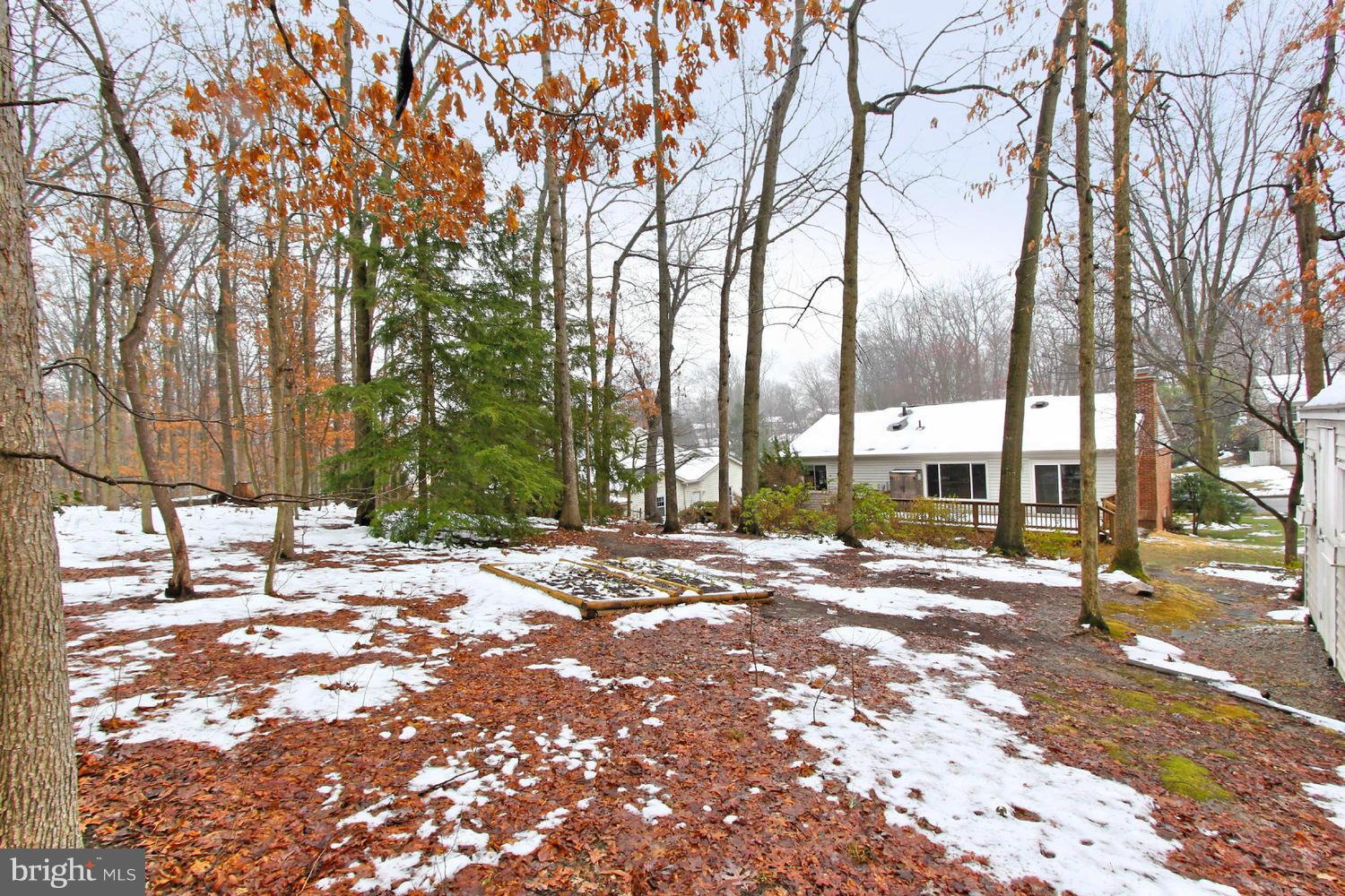 8006 Springfield Village Drive Springfield, VA 22152 - Photo 29 of 30 View
