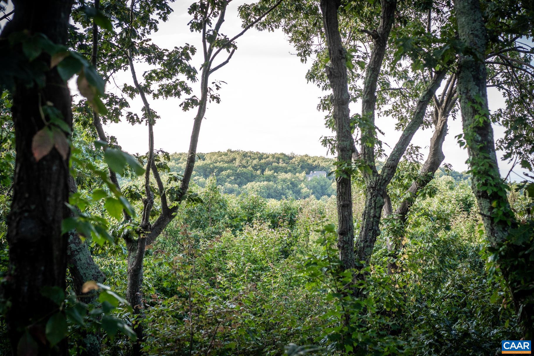 42 Peavy Point Wintergreen, VA 22967 - Photo 5 of 74
