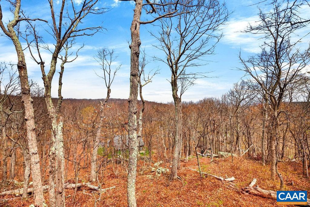 42 Peavy Point Wintergreen, VA 22967 - Photo 58 of 74