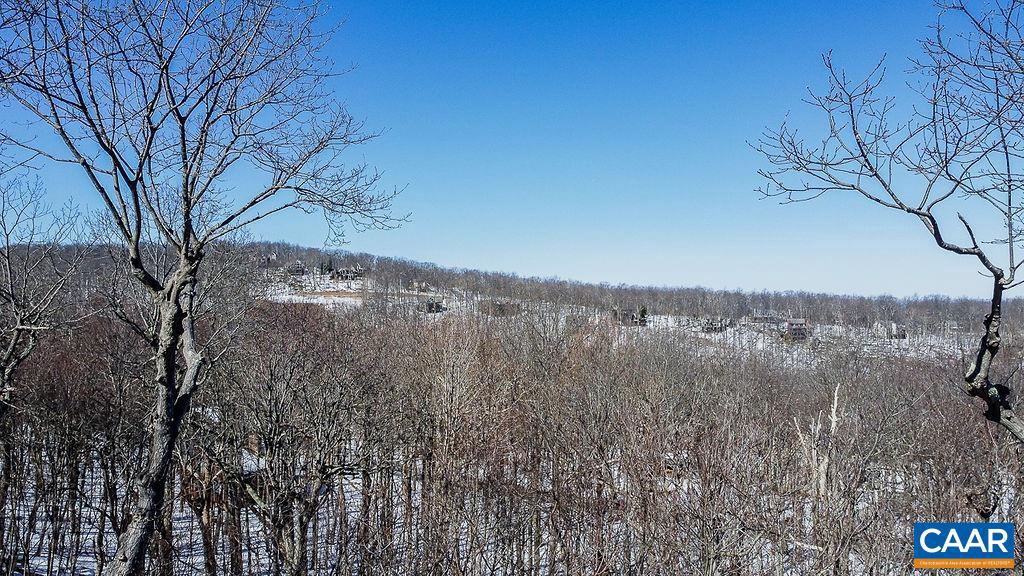 42 Peavy Point Wintergreen, VA 22967 - Photo 61 of 74