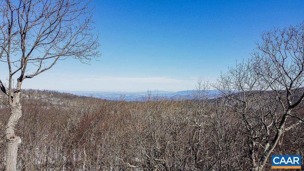 42 Peavy Point Wintergreen, VA 22967 - Photo 62 of 74