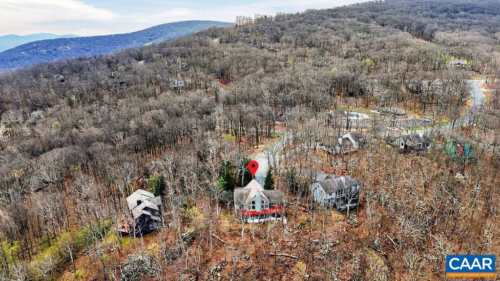 42 Peavy Point Wintergreen, VA 22967 - Photo 68 of 74