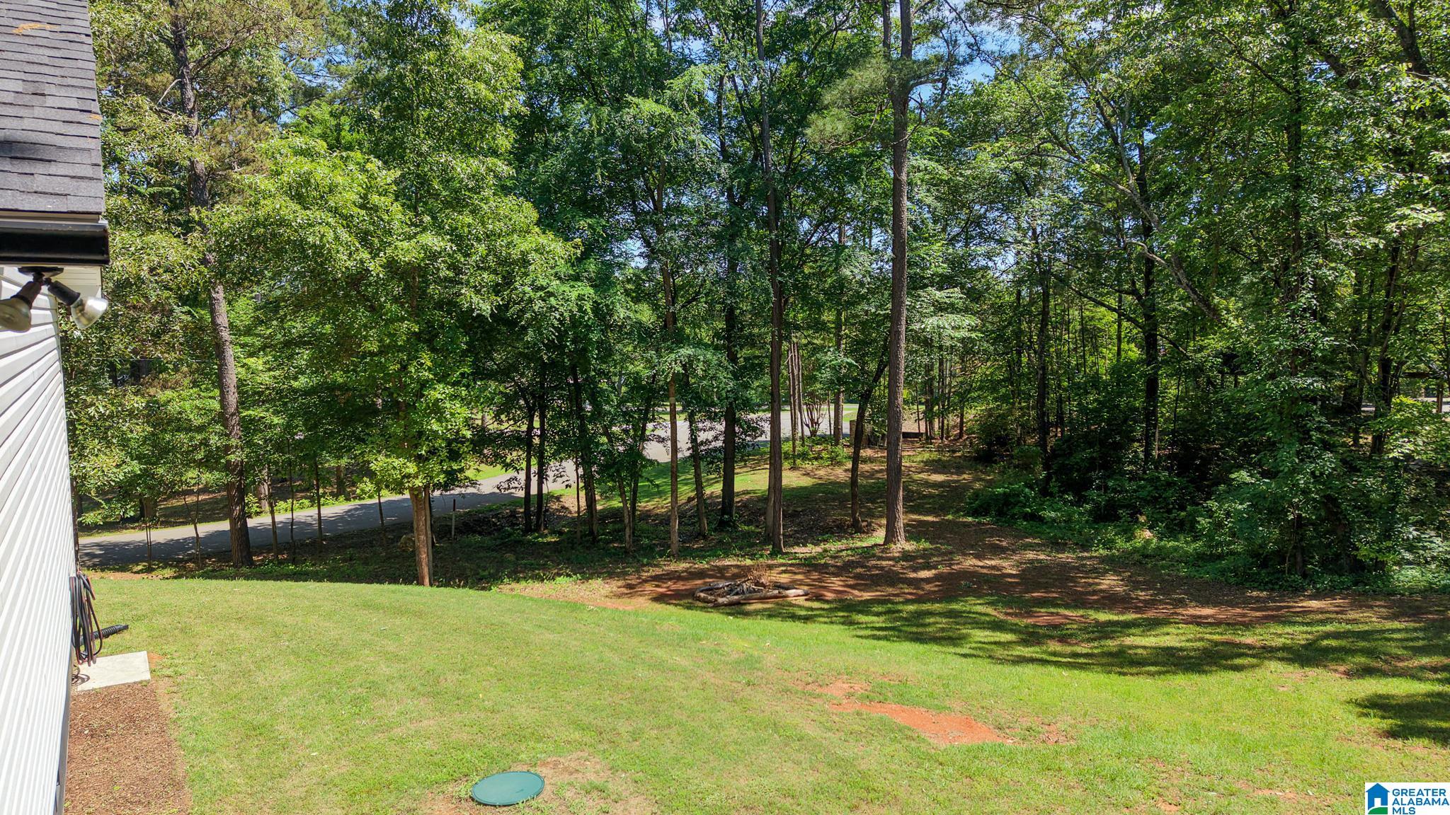 885 Lock 4 Road Riverside, AL 35135 - Photo 47 of 68