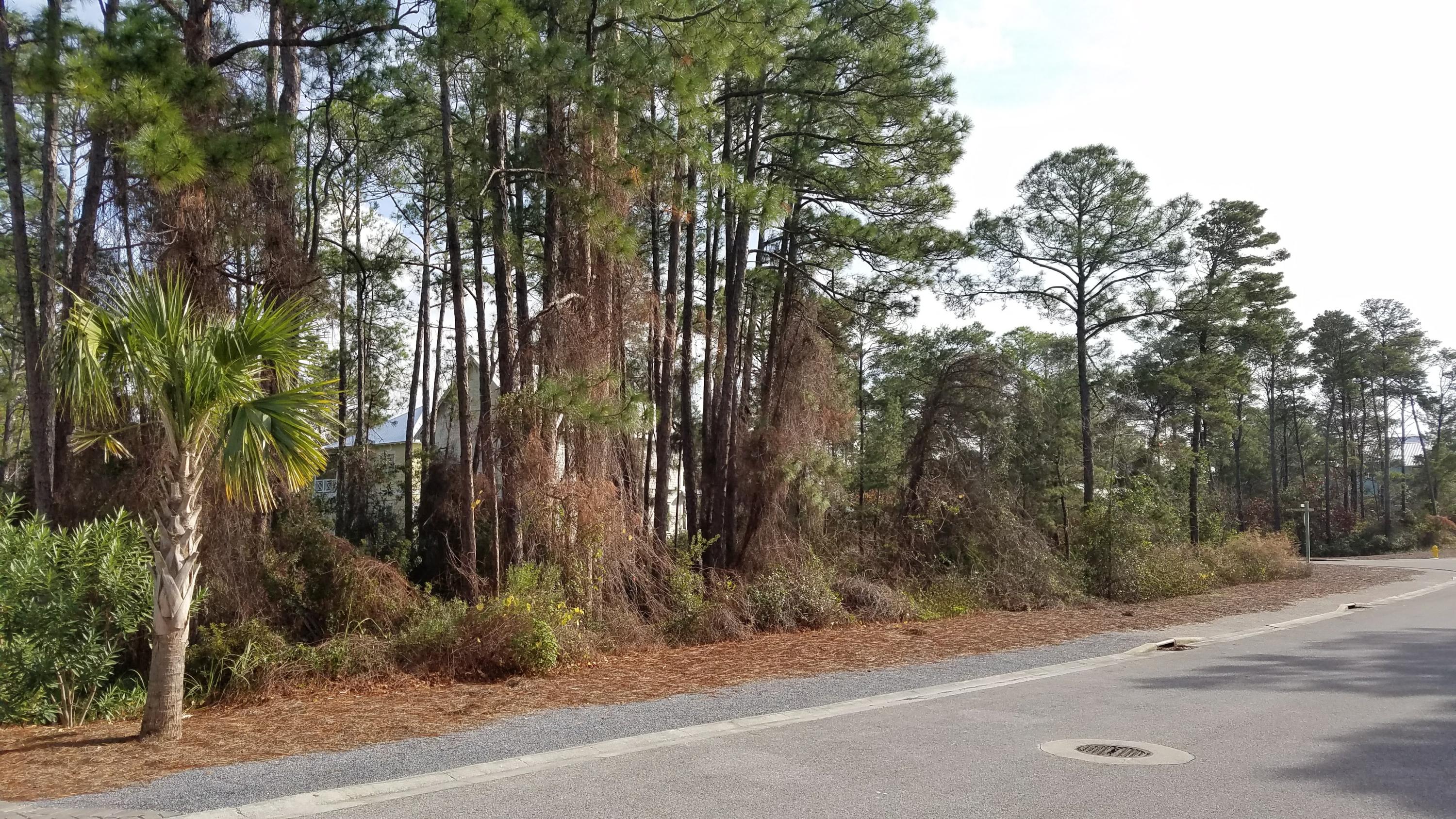 115 Cabana Trail Santa Rosa Beach, FL 32459 - Photo 8 of 21 20170104_132157