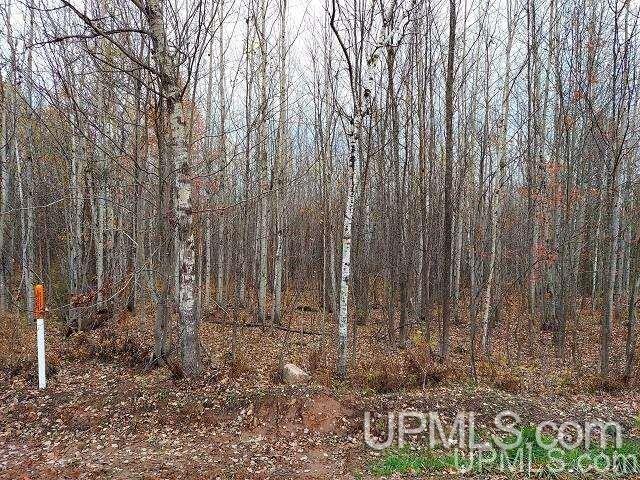 26898 Quartz Road Ontonagon, MI 49953 - Photo 3 of 4 Gallery Image 3