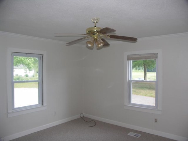 318 Ledbetter Road Travelers Rest, SC 29690 - Photo 9 of 10