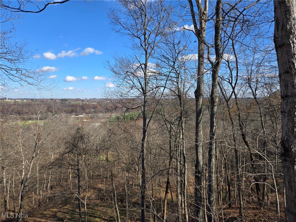 Hill Road Malta, OH 43758 - Photo 5 of 12 Muskingum River Valley View