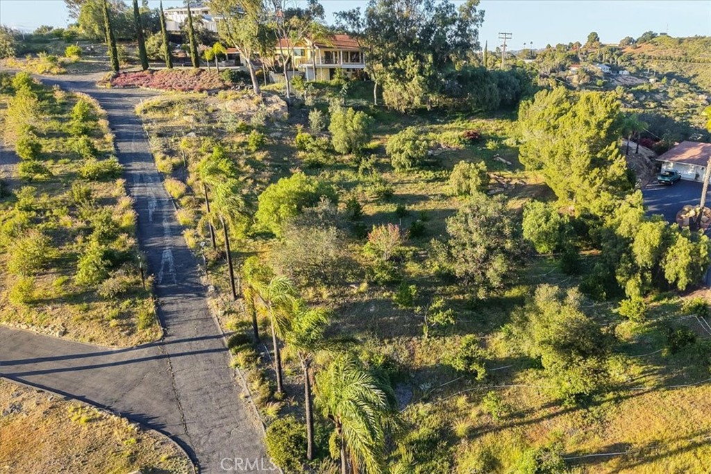 4408 Brodea Lane Fallbrook, CA 92028 - Photo 66 of 75