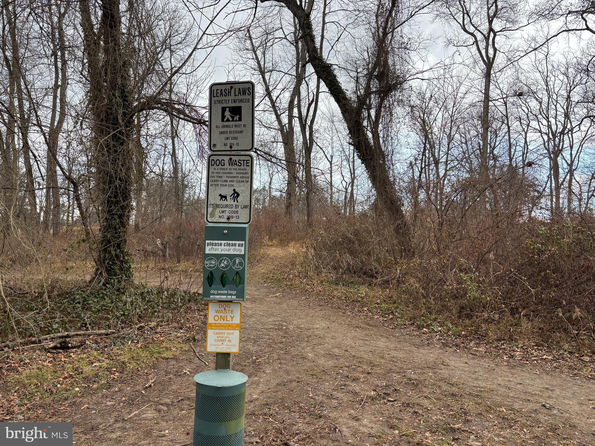 1354 Arbordale Road Wynnewood, PA 19096 - Photo 54 of 56 a front view of a house with a yard
