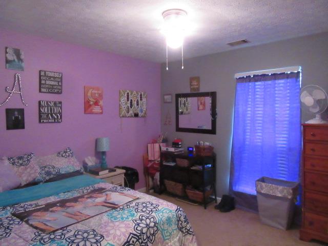 5074 Betts Road Greenbrier, TN 37073 - Photo 13 of 23 Gallery Image 13