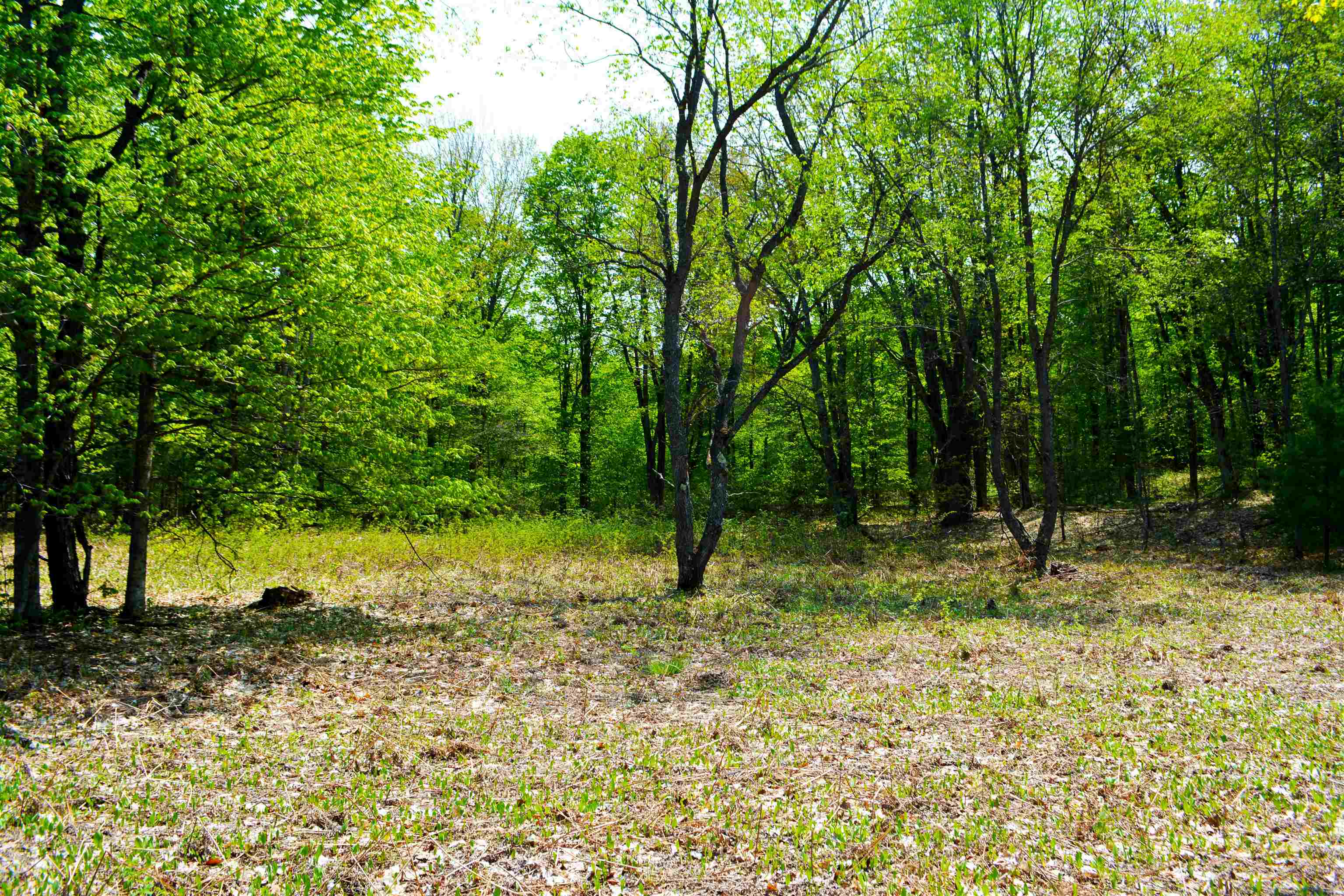 9454 Southwest Raspberry Ridge Fife Lake, MI 49633 - Photo 16 of 33