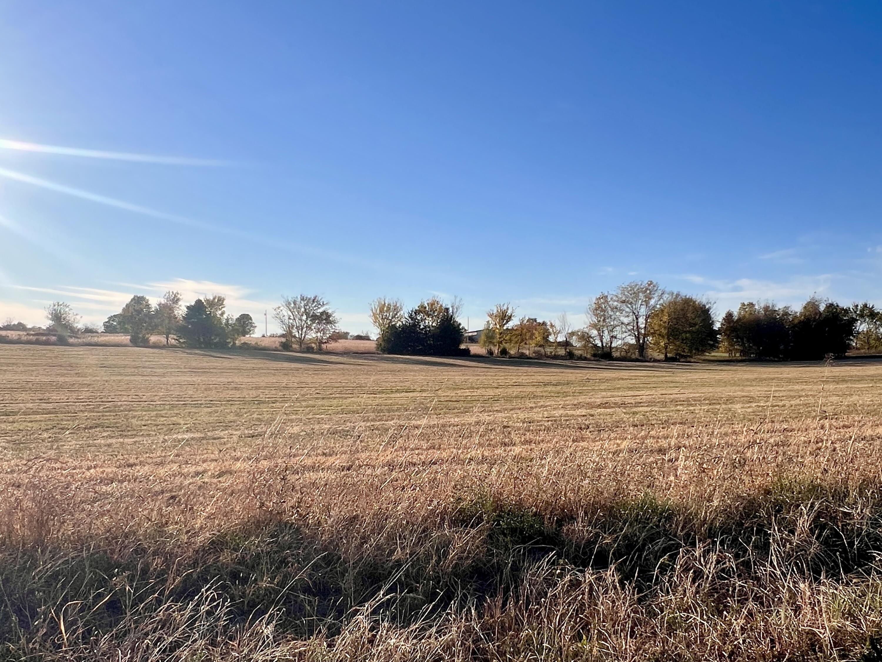 Lot 13 South 244th Road Buffalo, MO 65622 - Photo 1 of 1 IMG_2385 (2)
