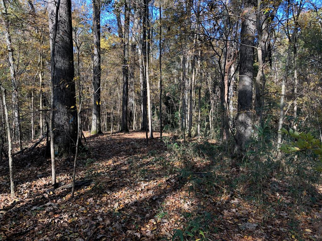 115 Dunbar Road Natchez, MS 39120 - Photo 7 of 8 Photo 7