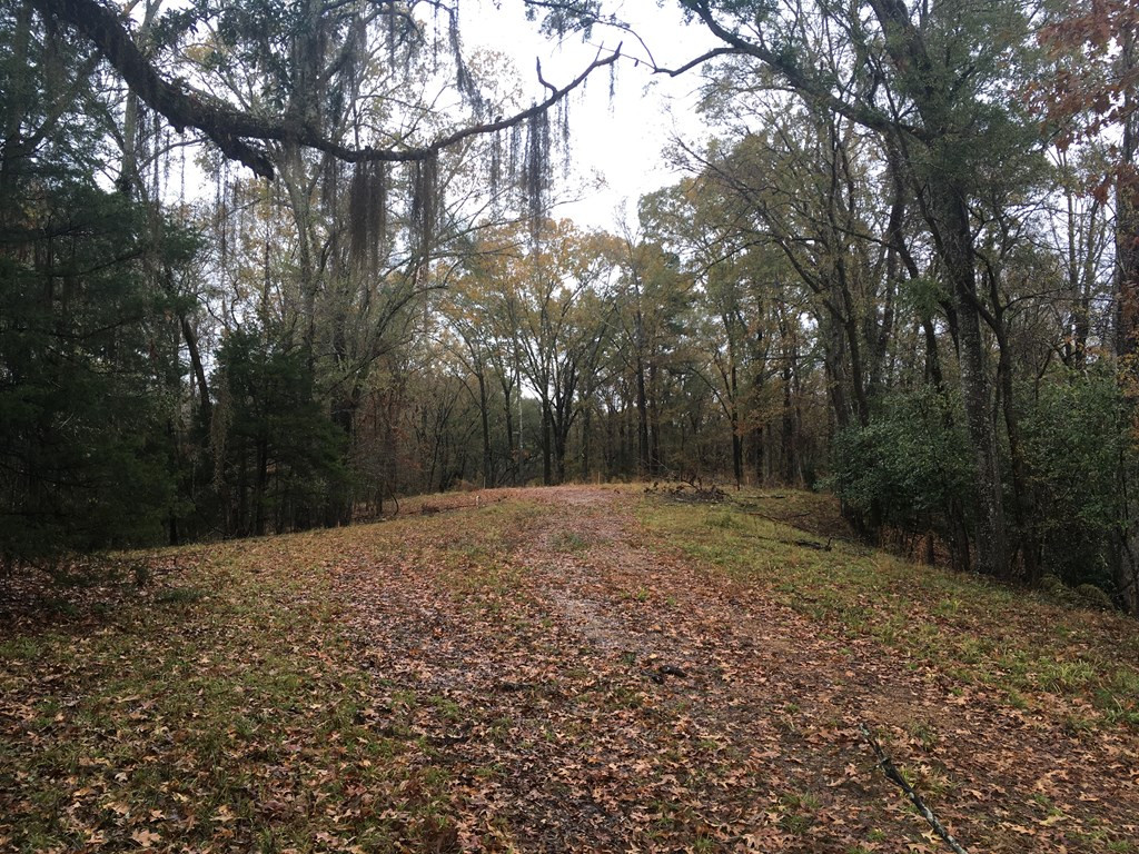 115 Dunbar Road Natchez, MS 39120 - Photo 8 of 8 Photo 8