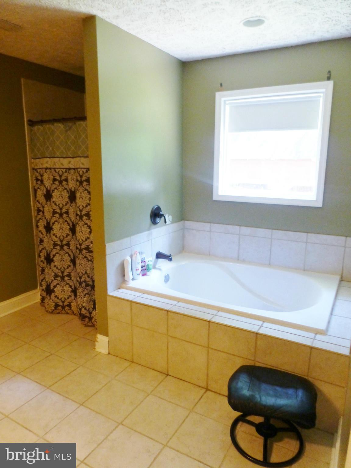 16355 Norman Road Culpeper, VA 22701 - Photo 17 of 23 Bath (Master)