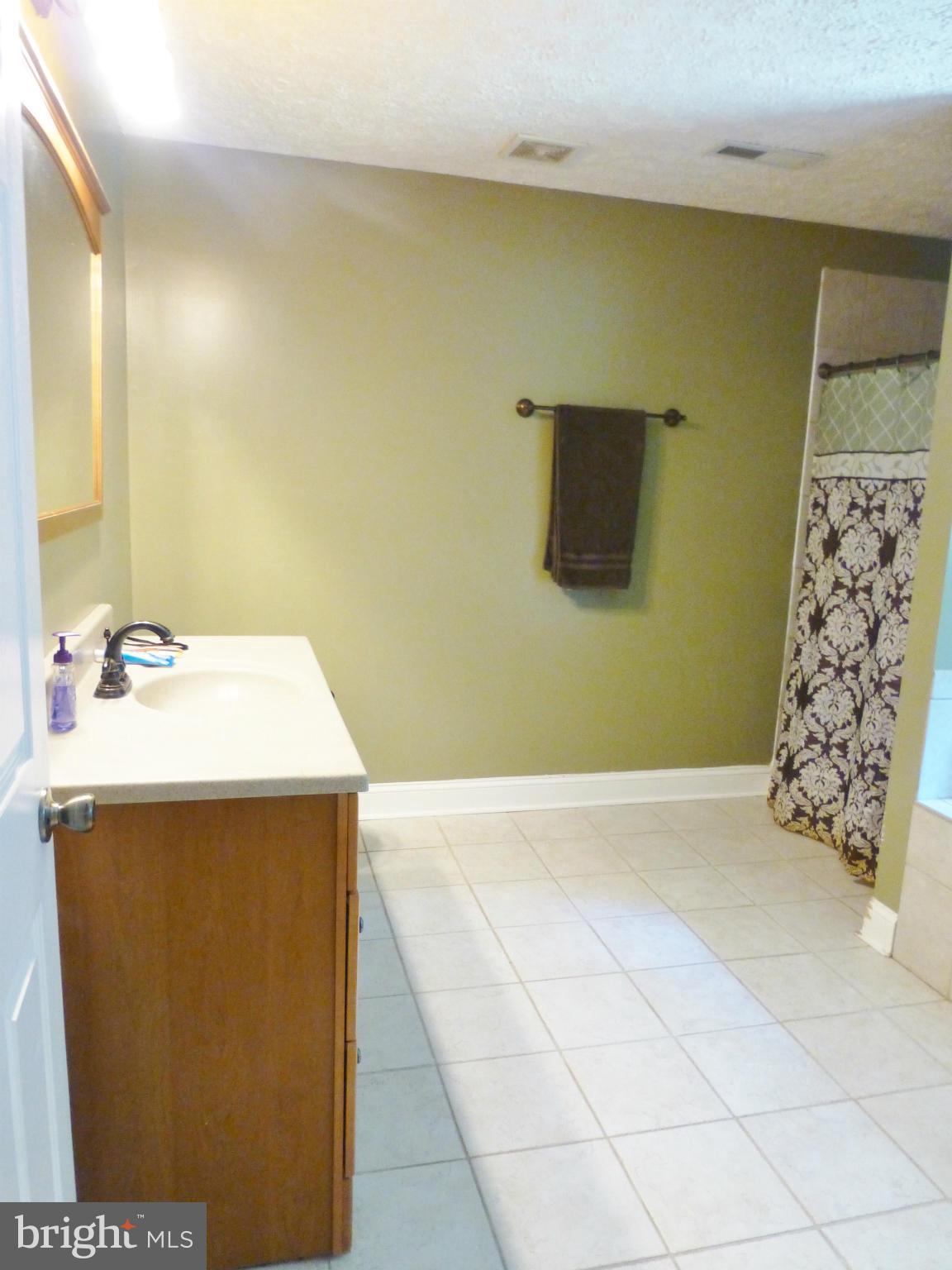 16355 Norman Road Culpeper, VA 22701 - Photo 18 of 23 Bath (Master)