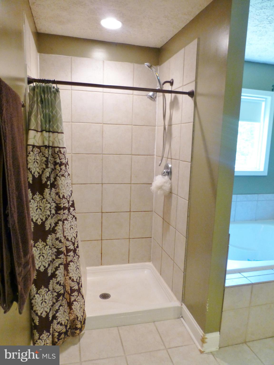 16355 Norman Road Culpeper, VA 22701 - Photo 19 of 23 Bath (Master)