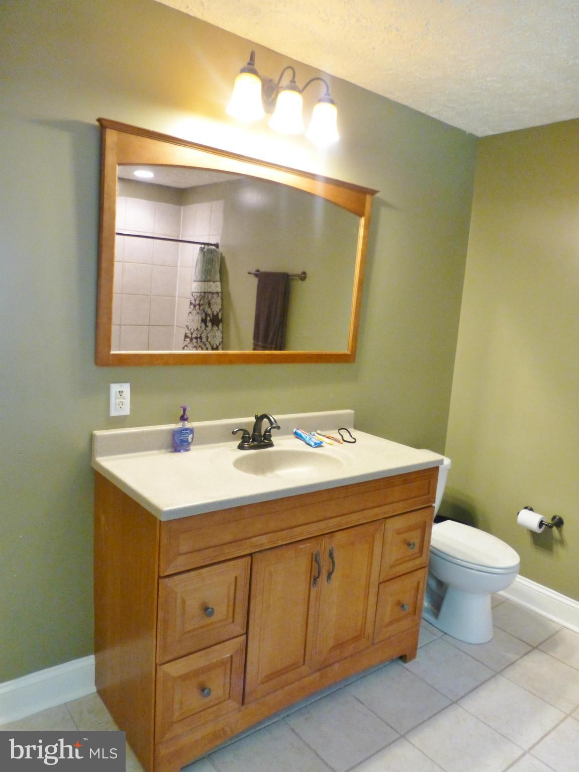 16355 Norman Road Culpeper, VA 22701 - Photo 20 of 23 Bath (Master)