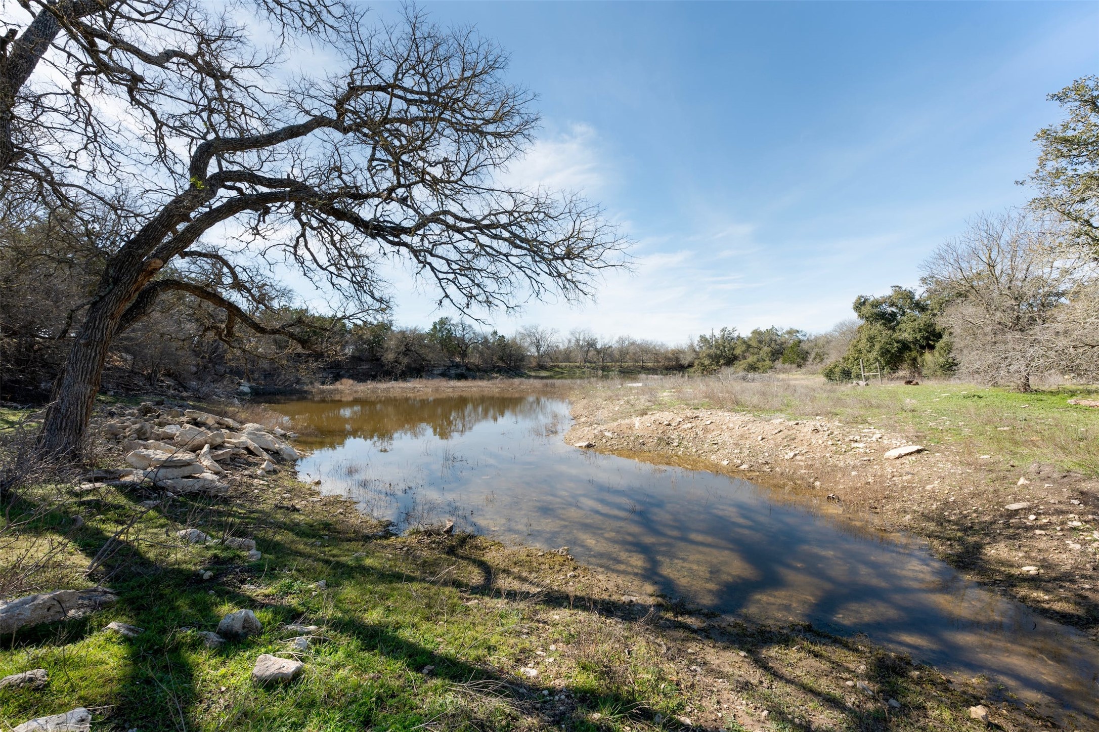 31305 Ranch Road 12 Dripping Springs, TX 78620 - Photo 30 of 32 a view of a lake from a yard