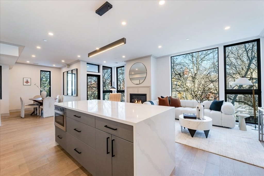 57 University Road, Unit 2 Brookline, MA 02445 - Photo 3 of 19