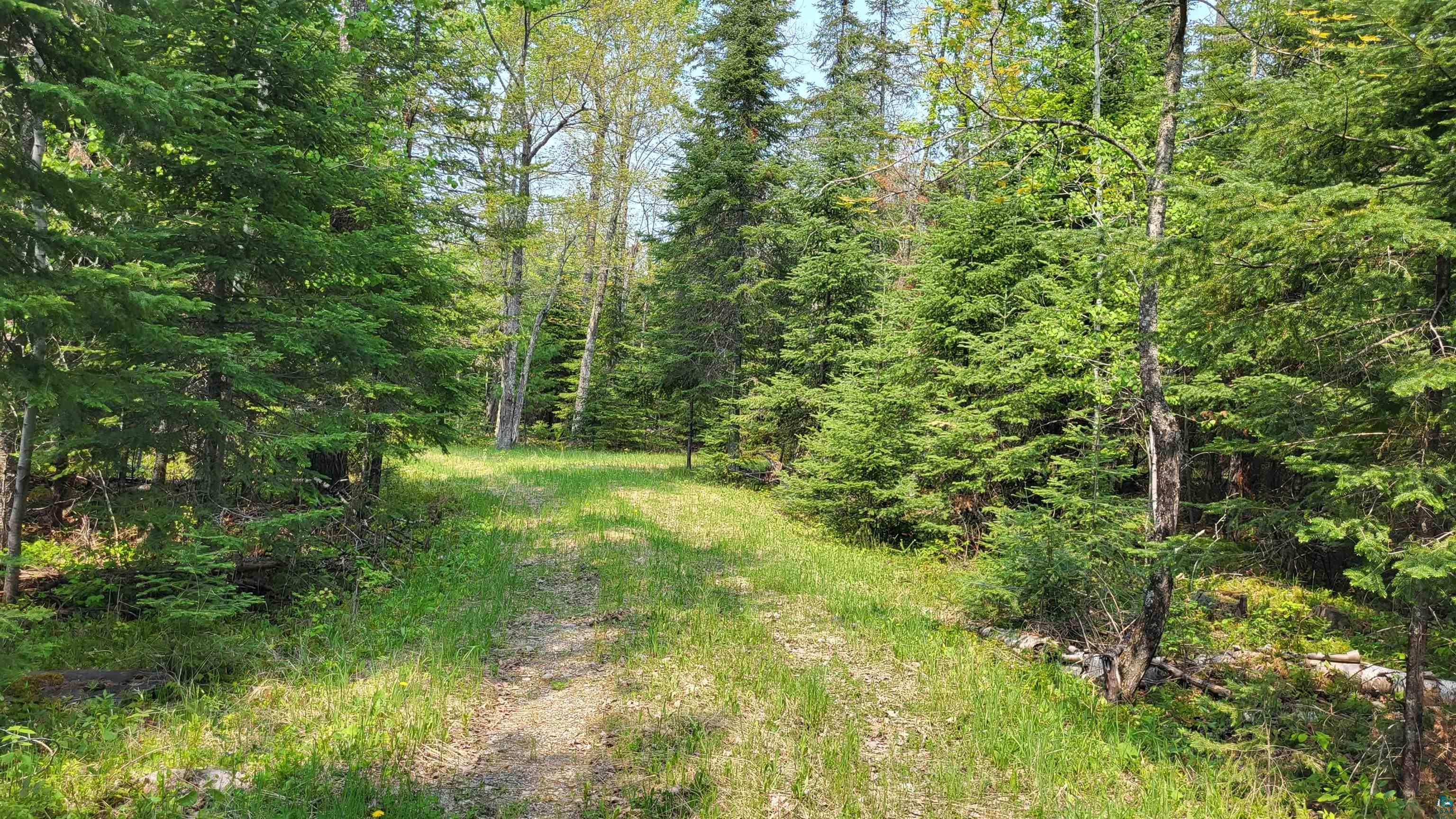 11587 Nett Lake Road Orr, MN 55771 - Photo 7 of 22