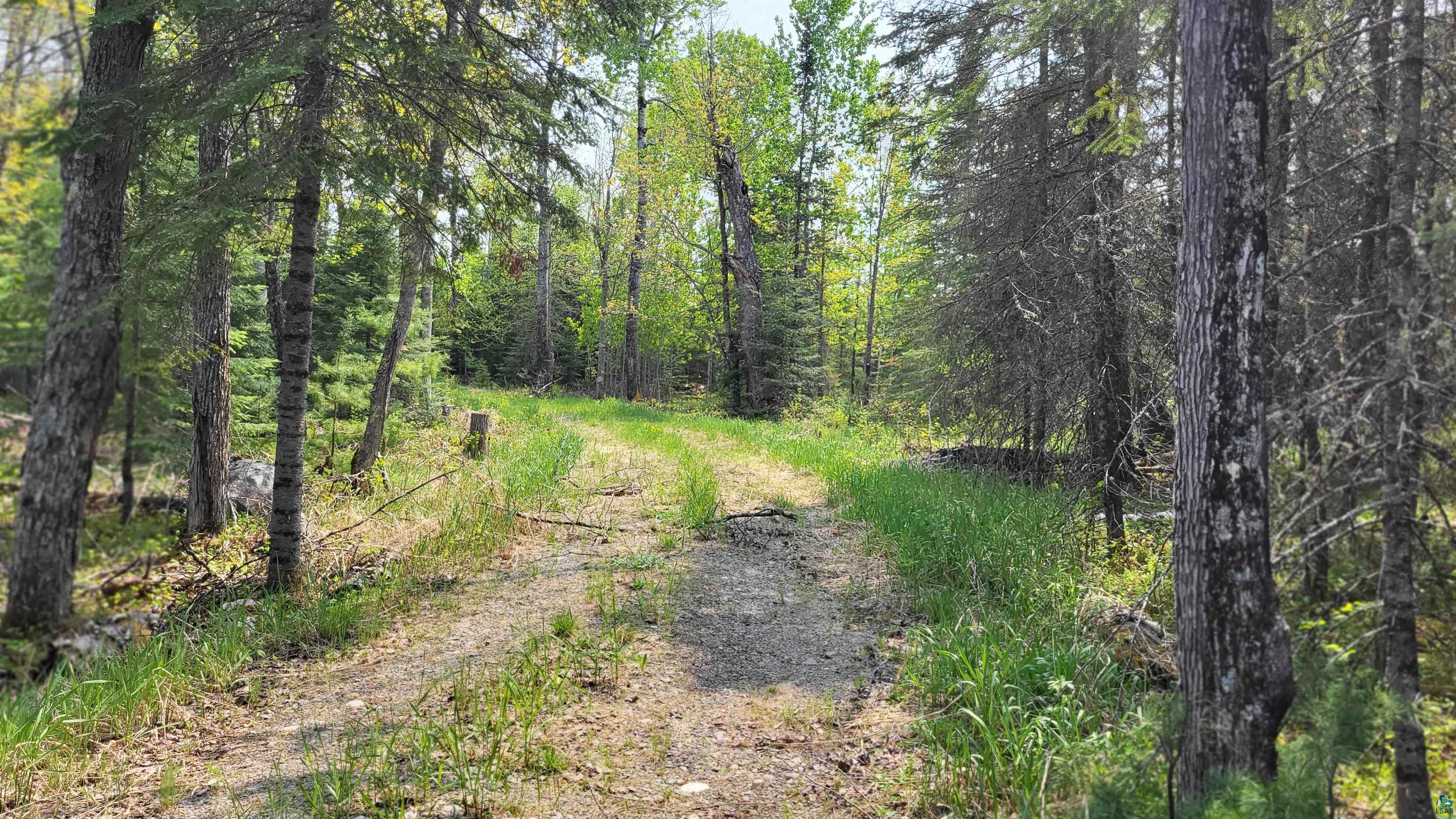 11587 Nett Lake Road Orr, MN 55771 - Photo 8 of 22