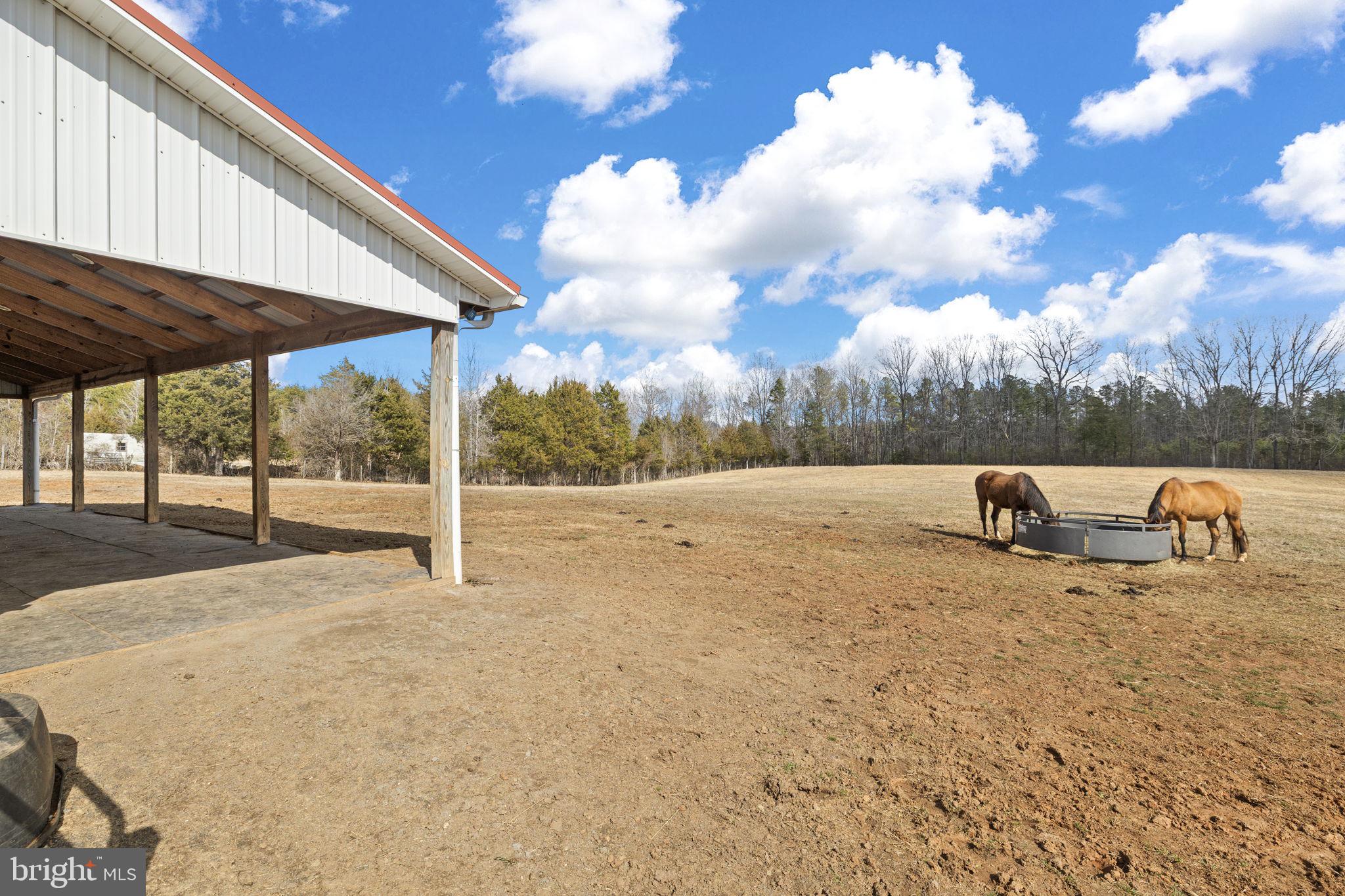 1815 Country Road Beaverdam, VA 23015 - Photo 64 of 88 Barn and pasture views