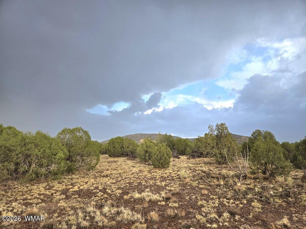 Lot 9 Pinon Valley Ranch Concho, AZ 85924 - Photo 8 of 12 a view of a sky