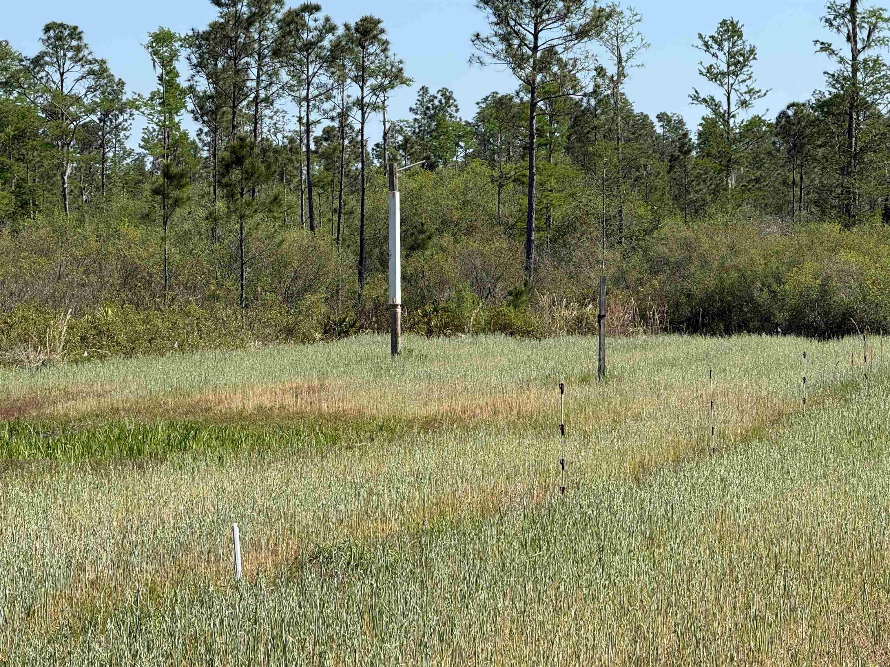 0 Madison Main Line Road Perry, FL 32347 - Photo 29 of 50