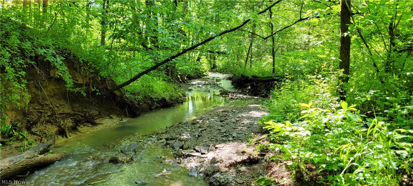 Hollis Clark Road Caldwell, OH 43724 - Photo 2 of 49