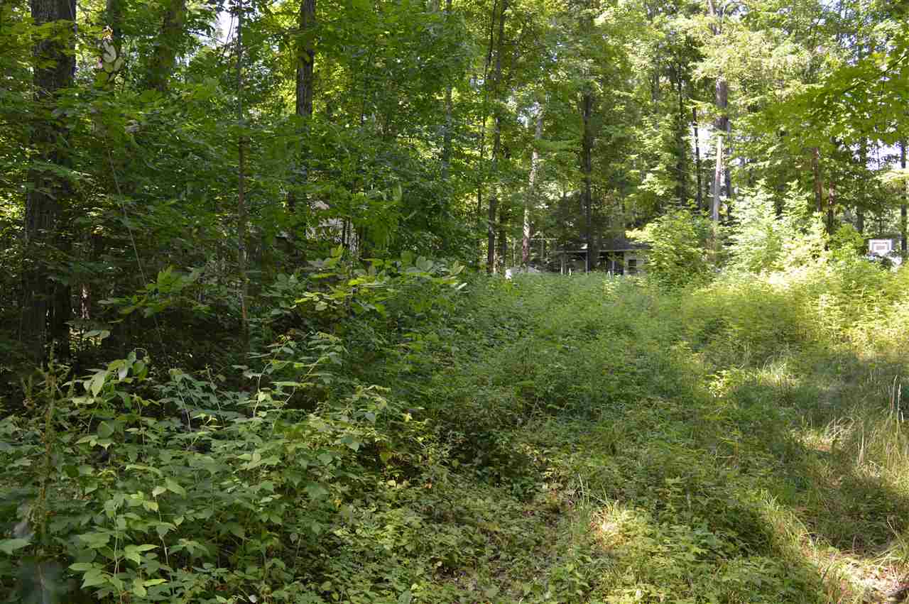 607 Yosemite Road Cadillac, MI 49601 - Photo 1 of 15