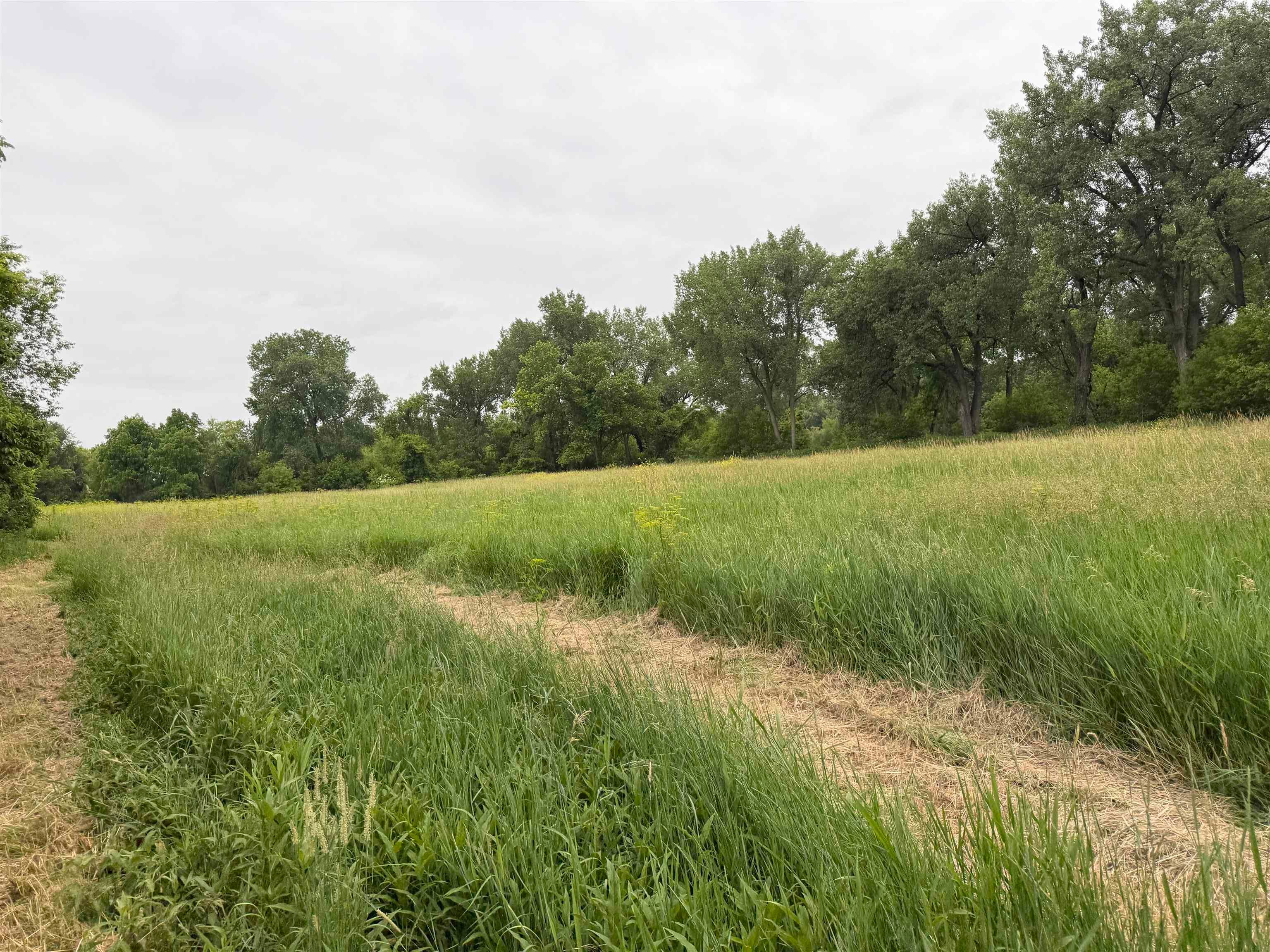 Xxx Canoe Road Strawberry Point, IA 52076 - Photo 7 of 22 Gallery Image 7